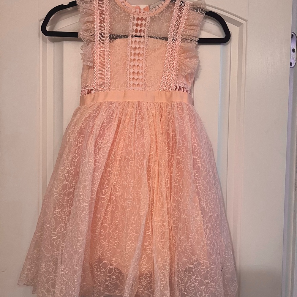 Trish Scully Clarissa Pale Peachy Pink Lace Dress with Delicate Details - Picture 5 of 7